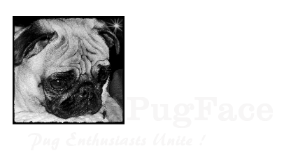 Pug Face